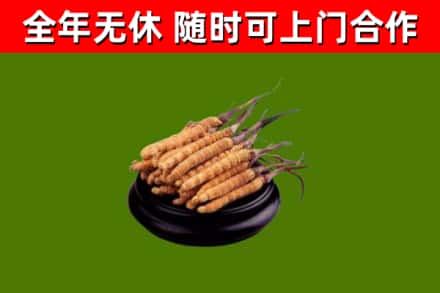 濂溪区烟酒回收冬虫夏草.jpg